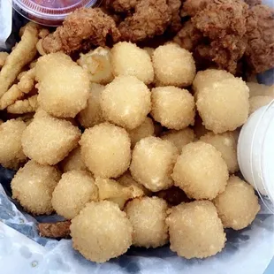Pepper Jack cheese cubes, gator bites, clam strips