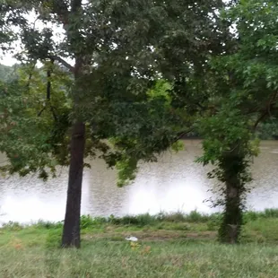 a large body of water surrounded by trees