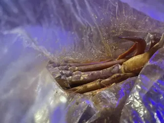 Cajun Crab Pub & Grill