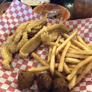 Large catfish ~ five pieces actually