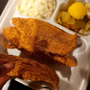 a hand holding a piece of breaded fish
