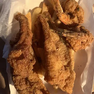 Fish and baby shrimp