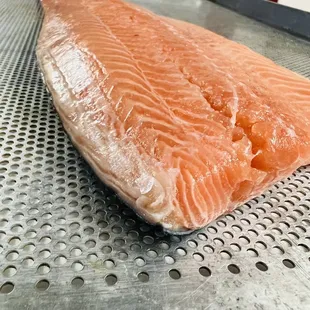 Salmon