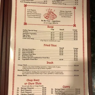 Appetizers, Soups, Fried Rice, Duck, Chip Suey it Chow Mein, and Curry menu