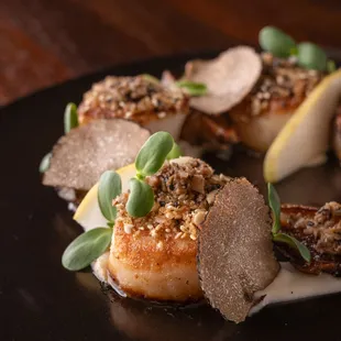 Diver Scallops