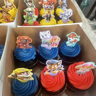 Chocolate Cupcakes