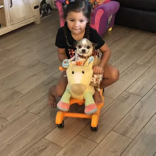 Chantik R.