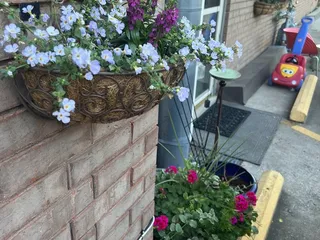 Rancho Flores Garden Center