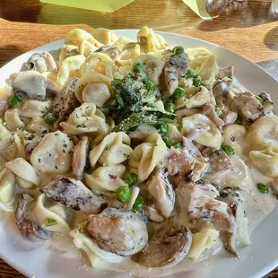 Tortellini