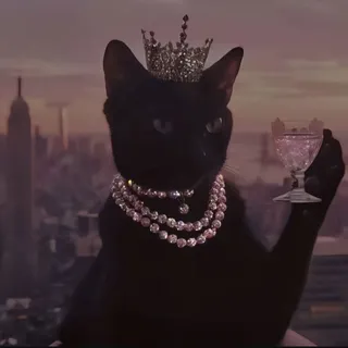 DeeDee H.