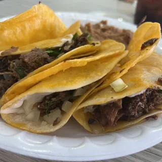 Birria Taco Combo