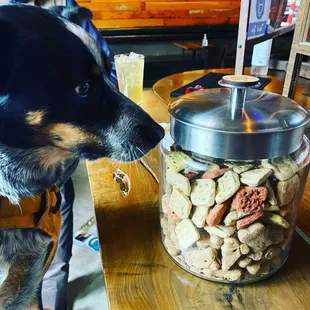 Open the cookie jar dad