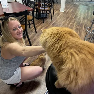 Just let Morris take your seat