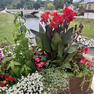 Right by the river / flowers were beautiful