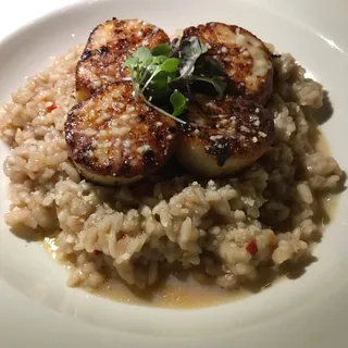 Sea Scallop Risotto