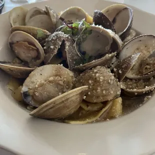 Homemade Pasta