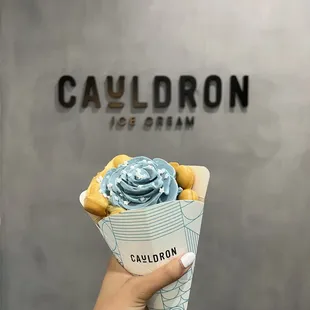 Sun, Moon &amp; Stars in a puffle cone