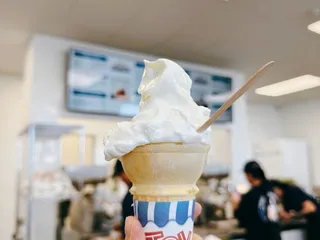 OC Stricklands Ice Cream