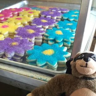 Even Jack wants cookies.