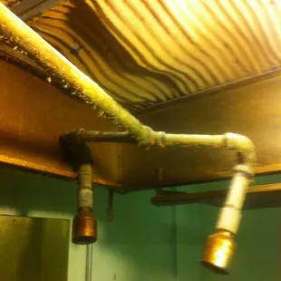 Vent hood for the fryer