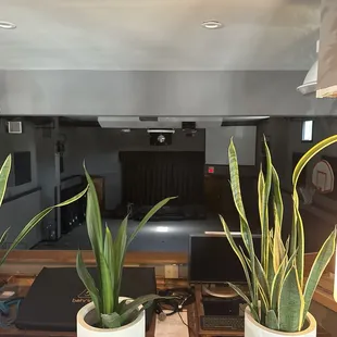 Event space behind the indoor seating.