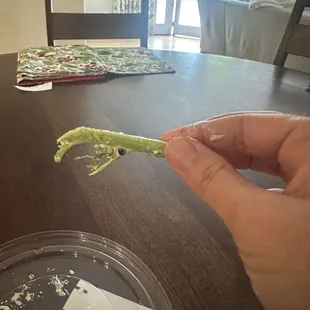 Lots of these large hard stems that couldn't be eaten