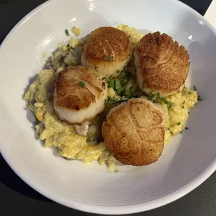 Scallop Risotto