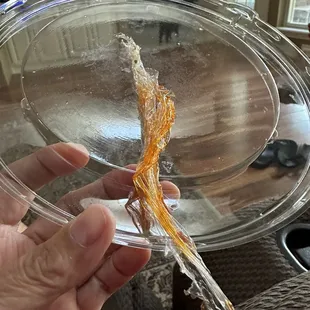 Piece of plastic in our food