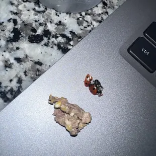 Ladybug inside my salad :(