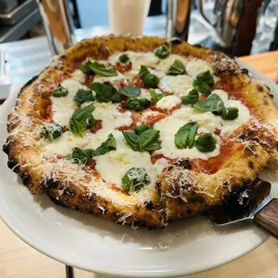 Delicious margarita pizza!