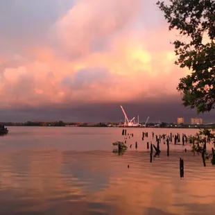 Overlooking the water (no filters or editing of the pic)