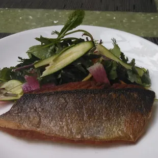 Mediterranean Sea Bass