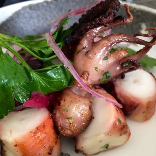Charred Octopus
