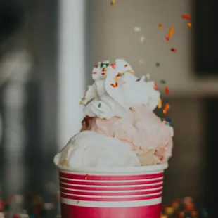 a cup of ice cream and sprinkles