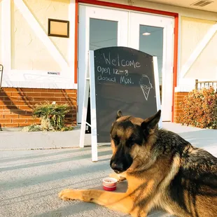 **hours are 12-7. Pup cups available!