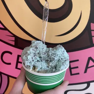 Mint chocolate chip