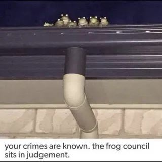 E C.