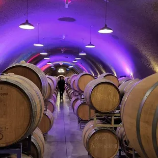 rows of wine barrels in a wine cellar