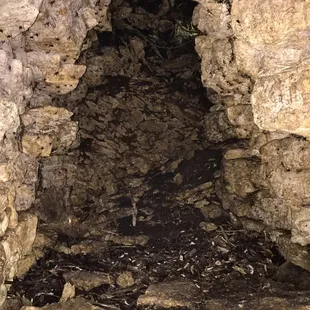 Cave Spring Interpretive Center