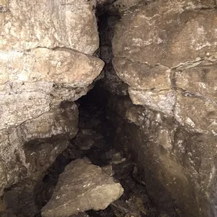 Those are crickets, no spiders, on the ceiling