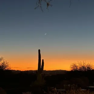 the setting of a desert sunset