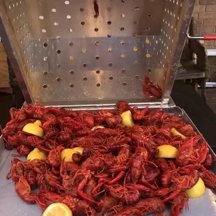 paella, food