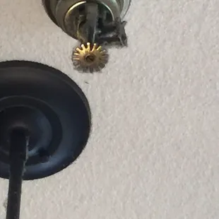 Dirty fire sprinklers