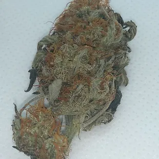 High quality buds