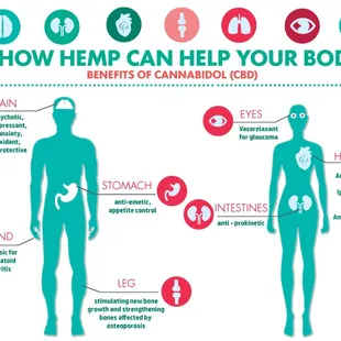 What can CBD/Hemp do for you?