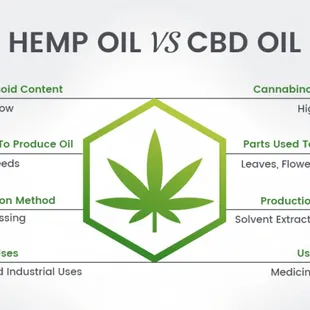 Hemp oil vs CBD oil