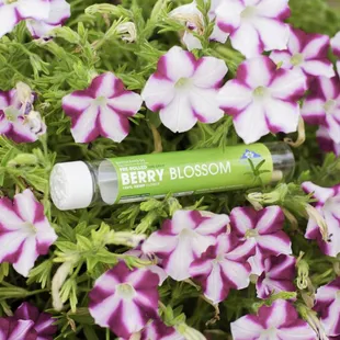 Berry Blossom 2 gram Hemp Preroll