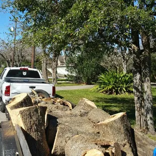 a truck hauling a tree trunk