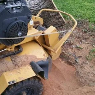 Our grinder had no problem with this large Mesquite stump at a customers house in Annaville.