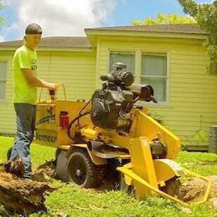 a man using a stump cutter